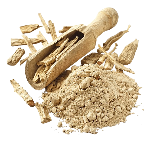 Astragalus Root Extract