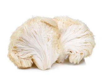 Lion’s Mane