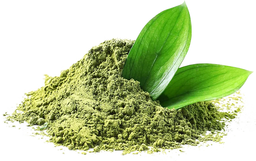 Organic Green Tea Matcha
