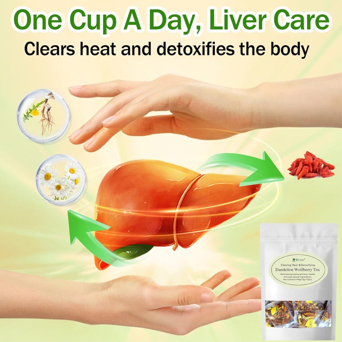 Healthy Kidney